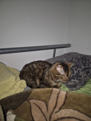 65407dde-d68e-4fca-81b9-db6841b15e6c