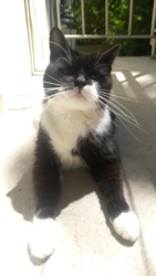 d302a719-aa03-4b50-a5a8-62877a8f304c