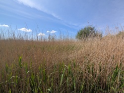 ef276c6d-fcf0-4e08-bb76-b2c715265fc4