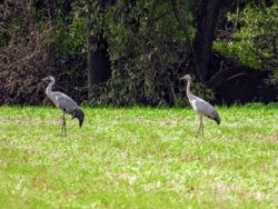 23c7c1ed-fa69-4e9c-9107-8310b8405083