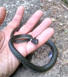 f9d82de6-549f-430d-9857-ddadd2d8a64e