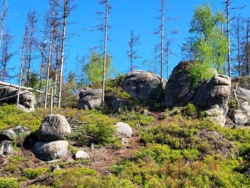 ecfa0915-414d-4750-9358-b5657dfbdd7d