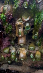 fea87081-faad-4c81-8555-dc0c1e5e4cec