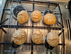 f880476b-e6dc-45ee-b86f-1796d00921e2