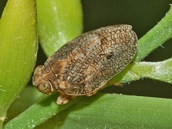 ee92e823-3c91-47fe-b394-a057e613ca39