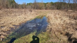 128939a3-47d5-4dd8-b1d8-e629af2ae080