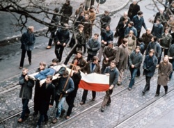 7f85ffa7-bec6-4c6b-a31b-5d524f5d2b1b