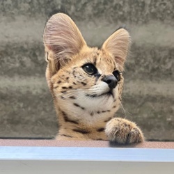 103ac107-72e3-440e-bc56-264735d776ab