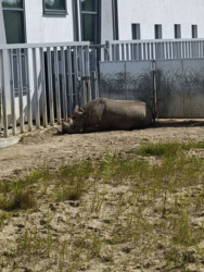 cd5904cd-857d-40ed-94c4-c148acc9f7c3