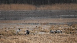 a3537637-e883-428a-94e9-a03159634ff3