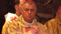 Watykan o zaniedbaniach bpa Kiernikowskiego. Papież przyjął rezygnację hierarchy