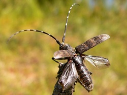 b3639381-beec-4739-86ac-350cd108e94c