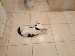 19215685-9026-4cff-bfed-95f4caea6e11