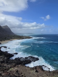 8902c608-d1c8-42a5-81d2-bce674259c64