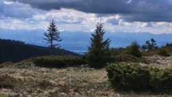 3ec6f2b2-78cf-4f44-9bbc-1fcbbc321523