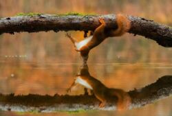 75276323-5875-429f-9138-87cf7b73a426