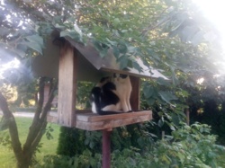 a874c2bb-01a3-4f4d-bdd5-3d4292fc58f5