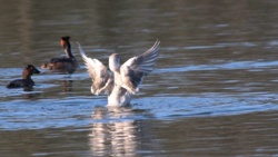 cc7a652e-f6ec-47df-89a4-19c4dbcf16b0