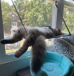 da11023a-56f1-4e88-8045-04cc86d37159