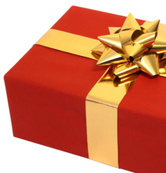 Dostarczono 30 pojazdów opancerzonych dla ukrainy prosto na front