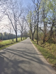 4e846777-9cfc-497c-bfda-07c74335da85