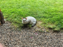 d7fc5f97-ae32-4de7-931f-61ab05c67777