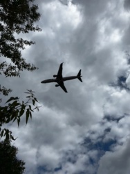 cc02d492-eded-49c5-9f8c-0d7426f83412