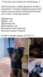 3f682eec-1f1f-4377-9289-517899cb66f7