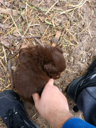 493ecdb3-a37c-465d-9376-c1a57e0e2852