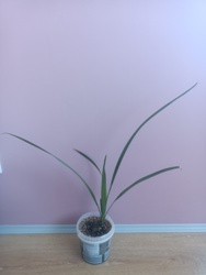 1ab3c30e-e96d-4bf4-b5a5-44d74a6d5f92