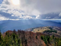 71dc9699-71fb-462b-bae4-29eebab61f9d