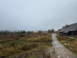 33d225d4-cadb-4a40-925f-f41526ef9fbb