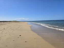 6233ae90-3b43-4fb5-9318-061175b56cca