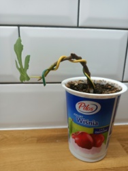 c35d13c2-ff00-470f-865a-6feb353aab56