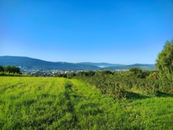 b93561cf-b173-4a4a-85bc-b791b602daf5