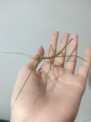 a129c2ac-5c40-4ce9-91da-88346af6f1f8