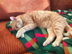 a95b4ec1-fedb-4f1f-8750-f033399d25d5