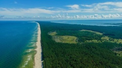 Ekspert: Mierzeja Wiślana jednym z najważniejszych korytarzy migracji ptaków w Europie