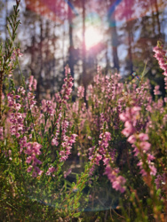 3d3aeec4-cf5a-4f4b-a572-620c191f2a43