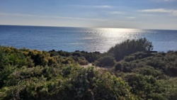 8d5c6d77-bc55-45fc-83e5-1d135e6981e6