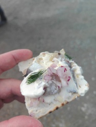 b714e969-65dd-4abd-9343-cf539756cd6b