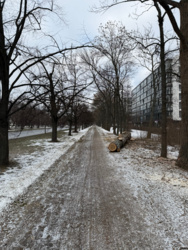 6297642e-f396-4d47-ad02-01ea8e5587e2