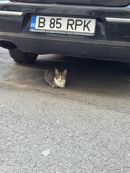 59ddfd7b-a3b4-4115-bc98-fbeea054a60b