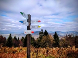 64f9073a-29e0-4464-893c-bb47975f9f05