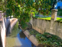 463a74ea-0750-452b-af7d-4568f8af5974