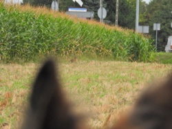 06b6ac98-7488-4f86-86f1-9b60731facaf