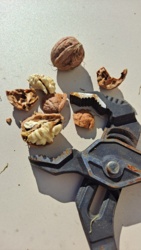 67d31888-72af-4644-a526-60ce3a0a8992