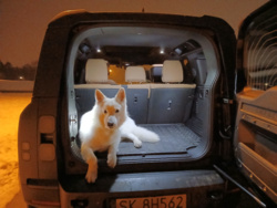 630397ee-6e66-467e-960d-0c79c2b959d7