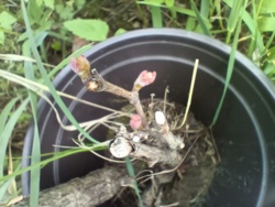 59b5a0dd-310e-417f-adcf-db5bd7b1a41e