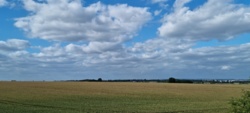 d7088489-9ed4-4af6-a43a-558027114f6e